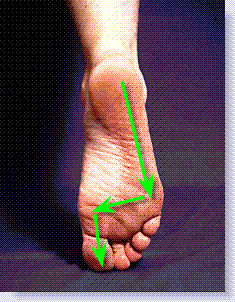 bottom of foot gait cycle