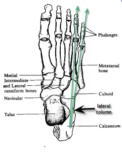 lateral_column_pain