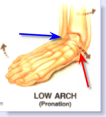 pronation foot