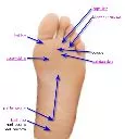 foot_pain_finder